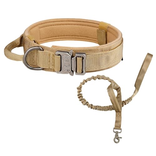 n[lX  [h   ~^[ P U h~ n[lX ^ \ ^ ybgpi L