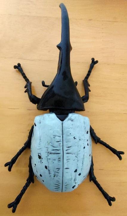 Amazon | ヘラクレスリッキーブルー ムシキング 大きい 昆虫