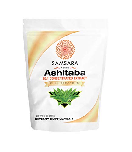 Samsara Herbs Ashitaba Extract Powder (8oz/227g) 20:1 Concentrated Extract Samsara Herbs Ashitaba Extract Powder (8oz/227g) 20:1 Concentrated Extract