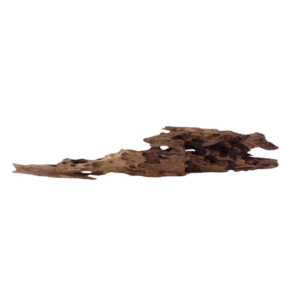 XL Honey Peine Raíz No.1937 Acuario Raíz Manglar Decoración de madera Aquascaping Decoración Paisaje Musgo Natural Madera Real