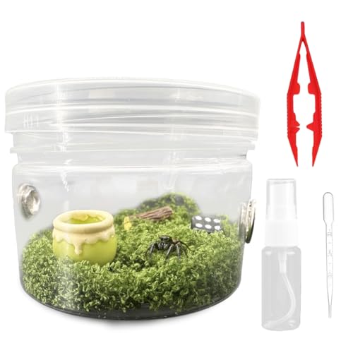 w偎P[X AN^`P[X ʋCw偎Lbg J}LE^`p X^C4