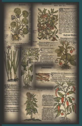 Medieval Notebook with "Ancient Herbarium" Design as Sketchbook, Diary or Journal for your Ideas & Recipes: with blank pages (Mondmärchen & Dark Episodes)