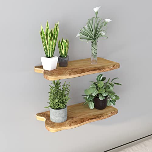 Welland 16” Cedar Natural Edge Floating Shelf Set Of 2 #TOP5