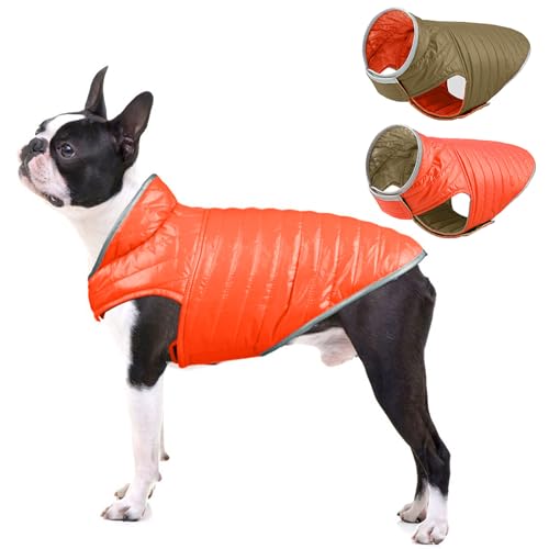 Tinsin  ybgh H~ȕ ~pȕ  R[g ^ ^ ^   L Wbp[t Ȃ h h Gh~  y }WbNe[vEȒP g ?O ΍ U h~ 蕨 NX}Xv