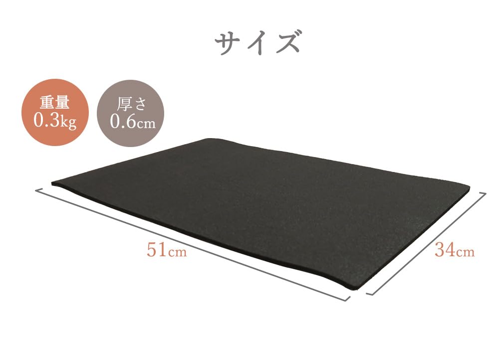 ジャイロキネシス専用マット 防音 静音 ステッパー専用マット ルネサンス Re Amazon.co.jp: エクササイズグッズ