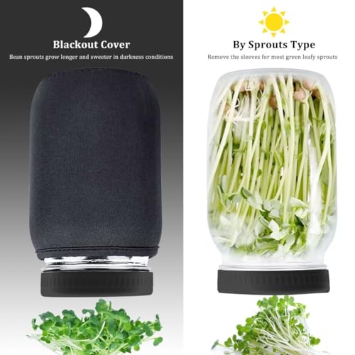 Kitmiido Organic Seed Sprouting Jar Kit – 2 × 32 oz Wide-Mouth Mason Jars with Stainless-Steel Sprouter Lids & Stand, Blackout Sleeves, Drain Tray – Grow Broccoli, Alfalfa & Bean Microgreens