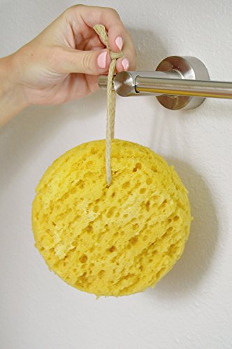 Evriholder 672-2 Foam Body Sponge For Exfoliating Large Scrubber thumb #3