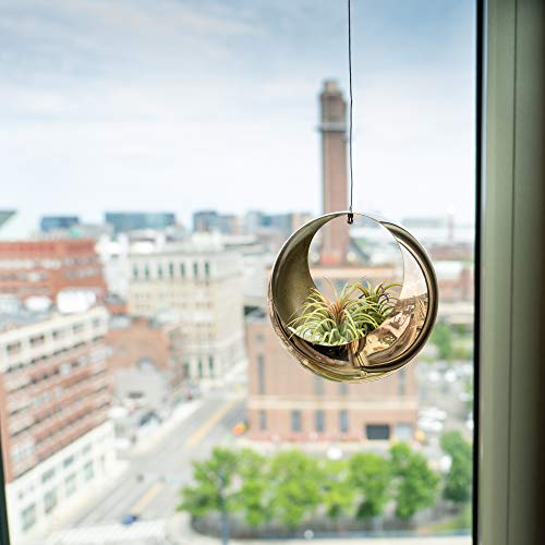 Atp Modern Gold Planter - Stainless Steel Hanging Planter – Copper Planter For Succulents & Small Plants – Sleek Minimalistic Metal Planter Decor (Large, Gold) #TOP2