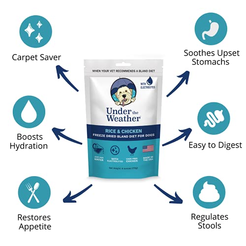 Under-the-Weather-Bland-Diet-for-Dogs-Easy-to-Digest-for-Sick-Dogs-Contains-Electrolytes-Gluten-Free-All-Natural-Freeze-Dried-100-Human-Grade-Meats-2-Pack-Chicken-Rice - Cucciolini Doodles   Under-the-Weather-Bland-Diet-for-Dogs-Easy-to-Digest-for-Sick-Dogs-Contains-Electrolytes-Gluten-Free-All-Natural-Freeze-Dried-100-Human-Grade-Meats-2-Pack-Chicken-Rice