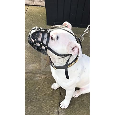 L&J Pets Uk Leather Dog Muzzle for Staffies Cover