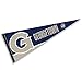 WinCraft Georgetown Pennant Full Size Felt