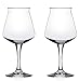 Rastal Teku Stemmed Beer Glass - 14.2 oz - 2 Pack
