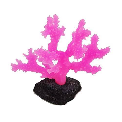 Sinularia Coral Small Pink