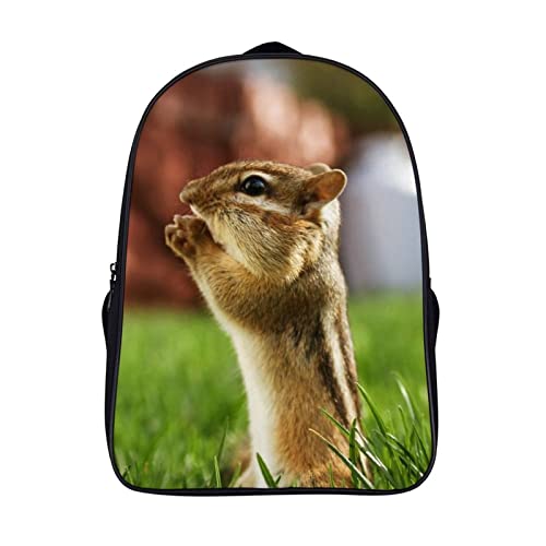 Sac à dos de 40x28x16cm léger avec imprimé écureuil 3D cool mode