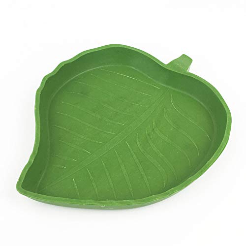 Hengrain Reptiliennapf Reptilienblatt Futternapf Reptil Kunststoff Trinknapf