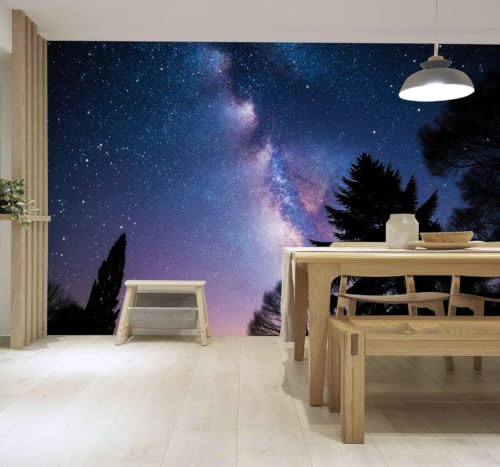 Papier peint 3D ciel étoilé XLMING pour masquer défauts mur