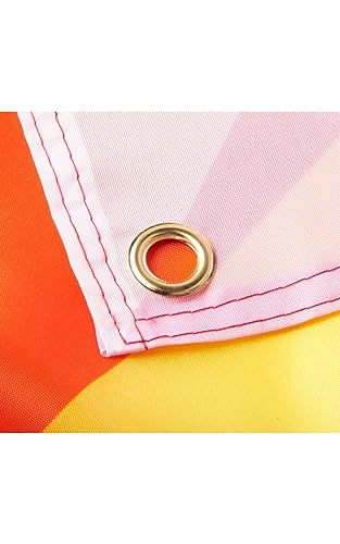 Runesol Progress Pride Flag 3x5, 91x152cm, LGBTQ+ Intersex Rainbow, 4 Grommets, Brass Eyelet in Every Corner, Parade - Image 4