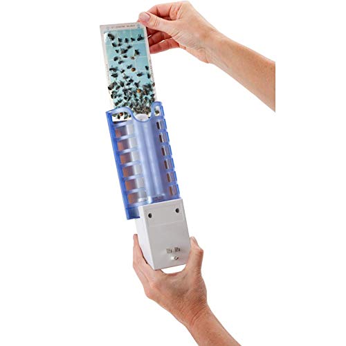 Dynatrap Flylight Insect Trap With 2 Ac Outlets #TOP3