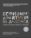 Economic Apartheid In America: A Primer On Economic Inequality & Insecurity