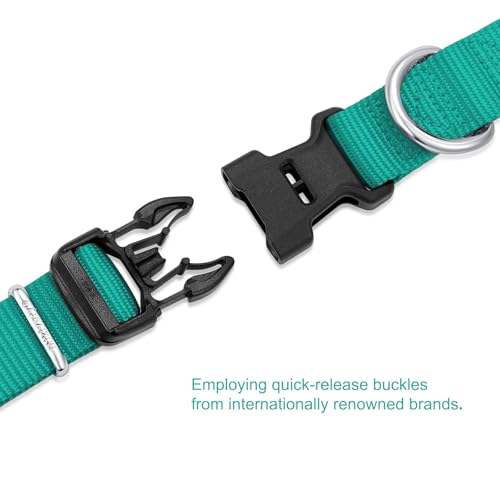 Collar de nylon para perros Mikivery ajustable M teal miniatura 7