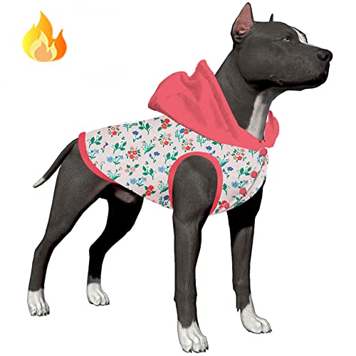 Clothes for Pitbulls The 15 best products compared Wild Explained
