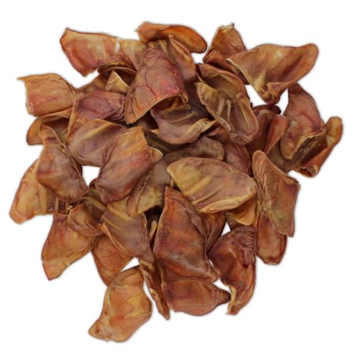 Best Pet Supplies GigaBite Roasted Pig Ears for Dogs - Natural Dog Chews, Roasted Pigs Ears, Safe for Puppies and Aggressive Chewers, Cleans Teeth and Gums - Whole Ears, Pack of 22