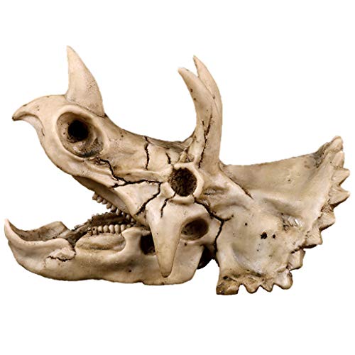Triceratops - Esqueleto de calavera de dinosaurio para Halloween, decoración de oficina en casa, manualidades, decoración del hogar, habitación, regalo de cumpleaños