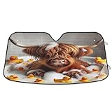 Ajustement universel pour la plupart des véhicules : conçu en trois tailles (S/M/L), ce pare-soleil pour pare-brise de voiture s'adapte aux voitures, SUV, petits camions et camionnettes. La taille M (140 x 70 cm) offre une large couverture et une protection solaire maximale.