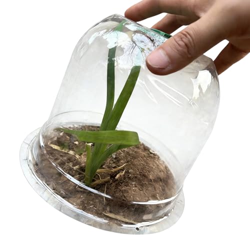 Protectores de Plantas de Animales, Suministros de jardinería Transparentes, de protección para Plantas de plántulas, para viveros, Patio, Invernadero, Verduras, Flores, Frutas