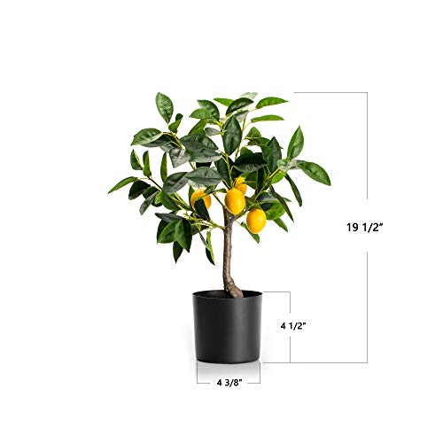 Velener Fake Lemon Tree 19"- Bonsai Tree Indoor With Pot Farmhouse Home Decor Living Room Kitchen Shelf Office Desk Bathroom Table Mini Outdoor Tree Faux Plant Porch Lemon Decor Floor Plant Tall #TOP1