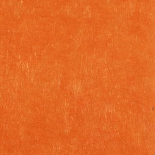 Lokta Paper Curry PAPERTREE 50x70 cm | Lot de 10 feuilles artisanales
