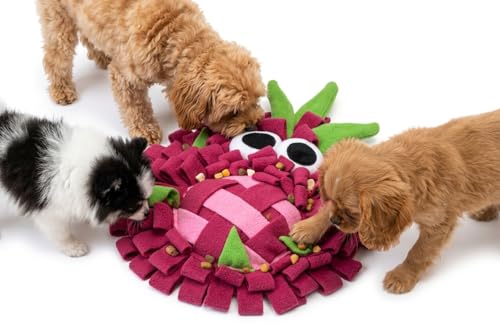 Image of Snuffle Mat for Dogs, Interactive Feeding Mat for Boredom and Slow Eating, Nosework Training Puzzle Toy for Dogs and Puppies, 18x32 CM, Travel Use (Dragon Fruit)