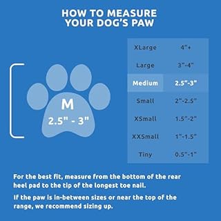 PawZ Rubber Dog Boots for Medium Paws - All-Weather Waterproof Dog Shoes, Anti-Slip Traction for Rain, Snow, Mud & Hot Pavement - Pull-On Dog Booties, Blue - Medium (2.5" - 3") - Pack of 12