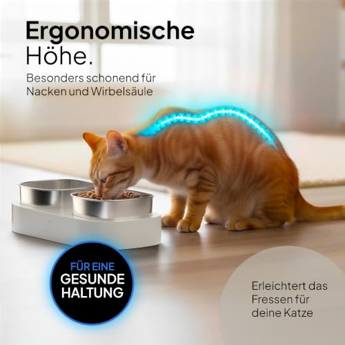Pretty Paw Katzennapf Erhöht mit 2 Edelstahl Schalen, Weiß