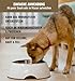 RiNa`s PANSEN-Mix (110g) | Gefriergetrocknete Hundesnacks aus Rindfleisch, Pansen & Knorpel | Lang haltbar | Proteinreich & ohne Zusätze | In Wasser aufweichen oder als Trockenleckerli