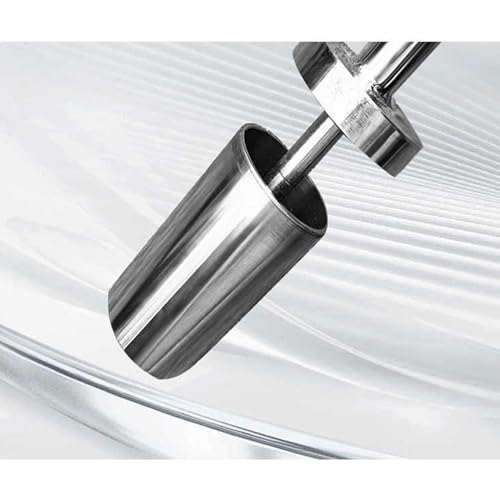 Échantillonneur de Liquide en Acier Inoxydable, résistant aux Hautes températures pour fluides visqueux, idéal pour l'échantillonnage en Laboratoire et Industriel