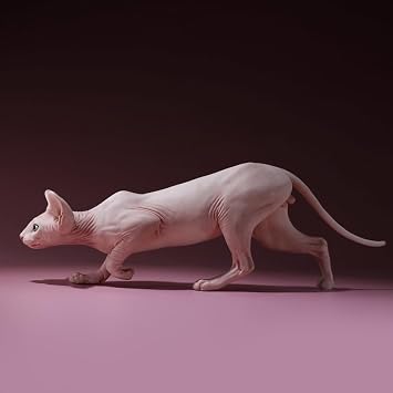 Sphynx Hairless Cat, Resin Sculpture, Collectible Shelf Decor Gift