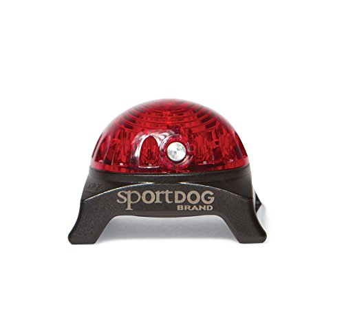 SportDOG Brand Locator Beacon - Bright, Waterproof Dog Collar Light with Carabiner - Flashing or Solid Safety Light can be Used for Night Walking, Jogging, Camping, Hunting, or Hiking, Red (SDLB-RED)