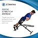 Stamina Ab Hyperextension Bench Pro - Adjustable and Foldable Roman Chair with Smart Workout App for Home Workout - Up to 250 lbs Weight Capacity