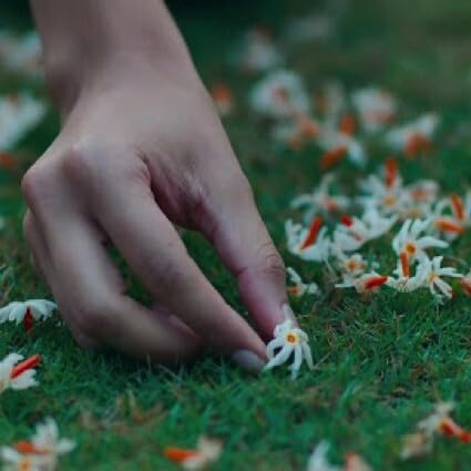 Have you loved her? (Ep 3)