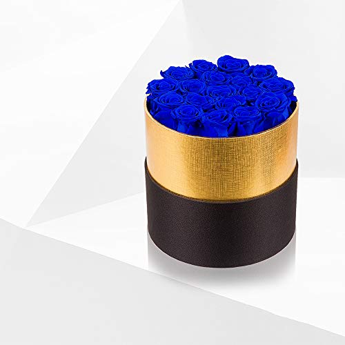 Royal Blue Preserved Roses Handmade Real Roses in Flowers Box That Last a Year, Long Lasting Rose for Valentine's Day, Mother's Day, Birthday, Christmas, Anniversary, Wedding, Thanksgiving