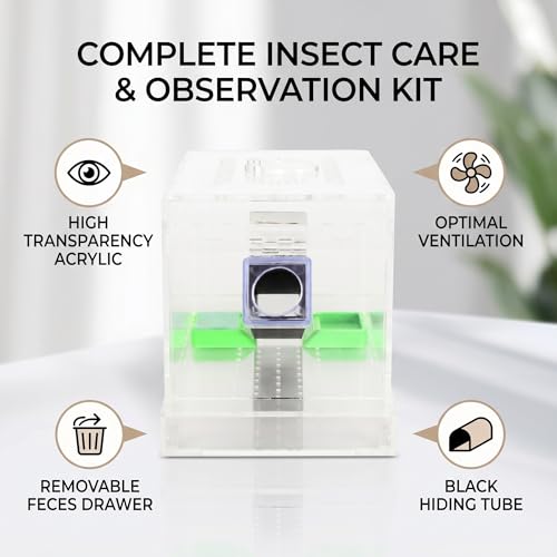 Kit de soin de cricket acrylique et boîte d'élevage d'insectes pour reptile