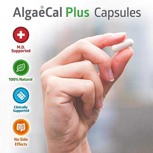 AlgaeCal Plus – Plant-Based Calcium Supplement with Magnesium, Boron, Vitamin K2 + D3 | Increase Bone Strength | All Natural Ingredients | Highly Absorbable | 120 Veggie Capsules per Bottle (6 Pack)