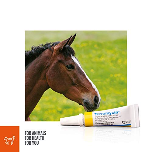 Zoetis Animal Health Terramycin Antibiotic Ophthalmic Ointment 1/8 oz Zoetis Animal Health Terramycin Antibiotic Ophthalmic Ointment 1/8 oz