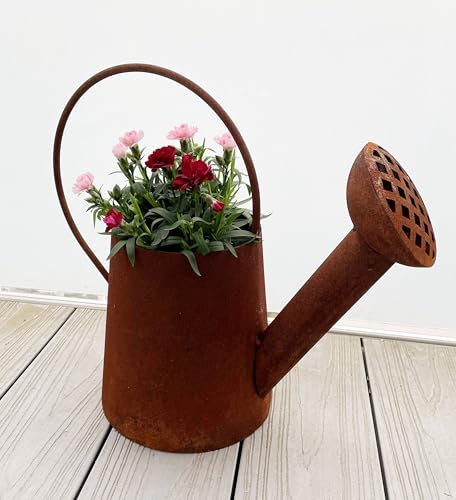 Jarra oxidada para plantar, 40 x 43 cm, color óxido, para decoración de jardín (jarra)