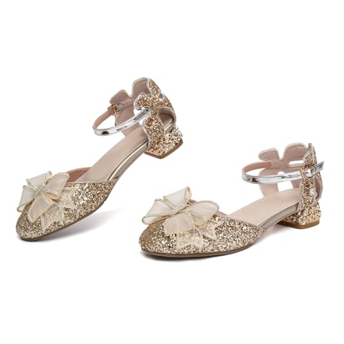 Girls Sparkle Dance Shoes Dress Pumps Glitter Sequins Princess Low Heels Bows Mary Jane Party Dance Shoes Rhinestone Sandals, Model DS-24643
