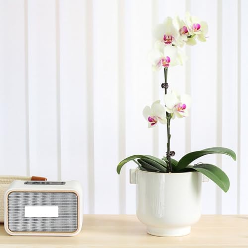Pots de fleurs décoratifs en céramique vintage avec évacuation d'eau