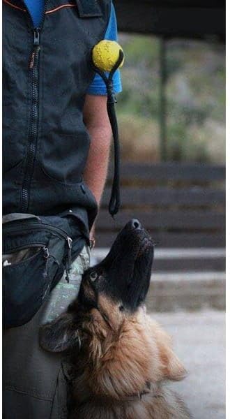 MCRS Magnetic Ball 2.5"