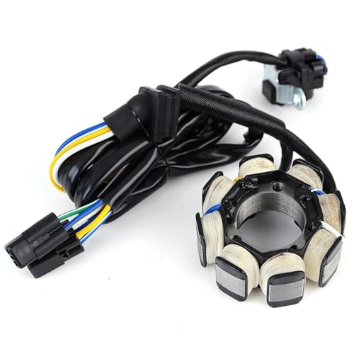 Stator moto CRF250X générateur d'allumage stable pour moteur 2004-2017