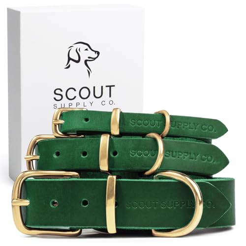 Image of Classic Genuine Leather Dog Collar | Dog Collars for Medium Dogs, Small Dogs, Large Dogs & Extra Large Dog | Wide Dog Collar | Heavy Duty Collar | Green (XL: 1.2 inch Wide for 18.5 inch-21 inch Neck)